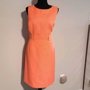 NWOT Tahari Polka dot dress